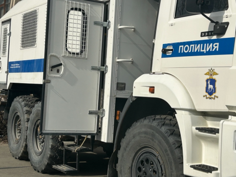 В Самарской области задержаны 18 преступников: все были в бегах