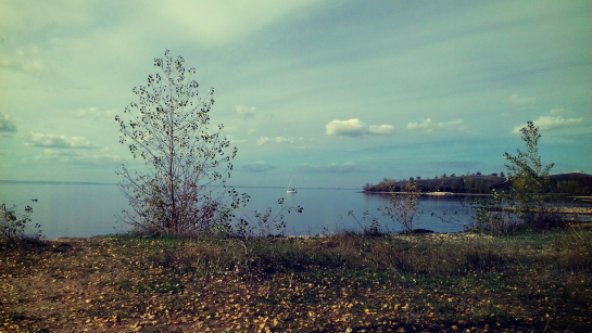 На берегах Волги под Сызранью наблюдался аншлаг - давно такого не было