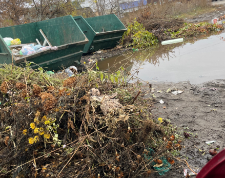 Будем выбрасывать мусор в Сызрани с комфортом? Регоператор готов решить проблемы, но за дополнительные деньги