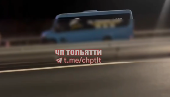 Трагический случай на платной трассе под Сызранью: на пути автобуса оказался лось-камикадзе