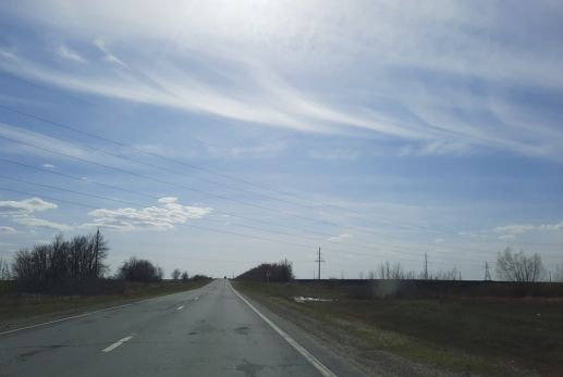 Видимо, поздняя любовь: ночью лесные звери кошмарили трассу под Сызранью