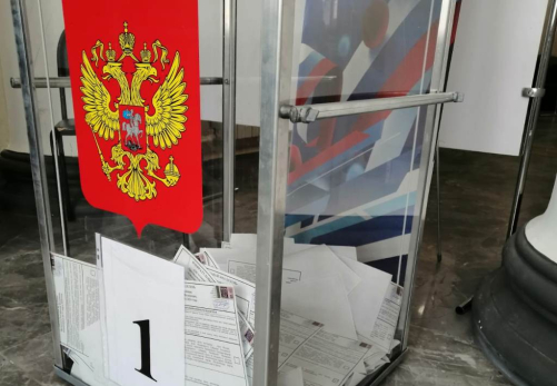 В Думе Сызрани дали Анне Коптевой добро