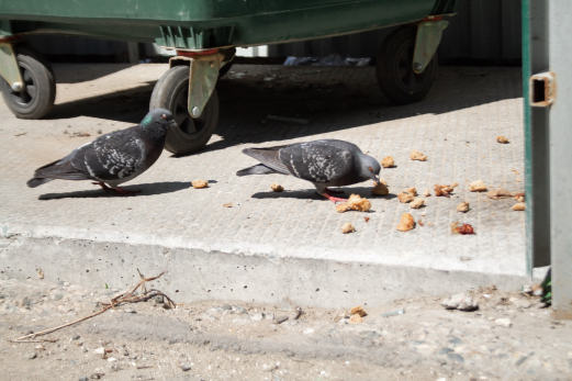 Всё тщательно взвесят, чтобы отсечь чужое: мусор конкретно привяжут к жителям и организациям