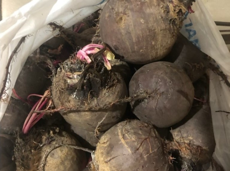 Больше не варю свеклу часами - повар раскрыл способ приготовить ее быстро и вкусно