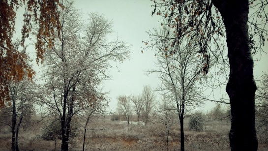 Снегопад в ближайшие часы начнется в Сызрани и Самаре