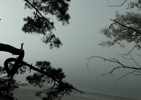 Ближе к вечеру на дорогах Самарской области станет жутко