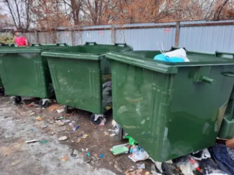 При виде зверя нельзя делать резких движений: этой зимой медведи потянутся на городские помойки