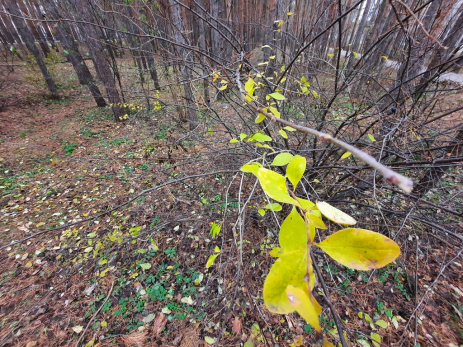 Народные приметы на 6 ноября: кому в Афанасьев день судьба принесет деньги , квартиру и долгую счастливую жизнь