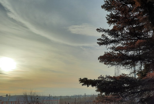 Погибли десятки человек: смертоносный ураган добрался до России - что ждать жителям Сызрани и Самары