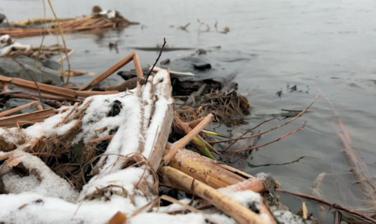 Реки в Сызрани и Самарской области могут замерзнуть раньше времени