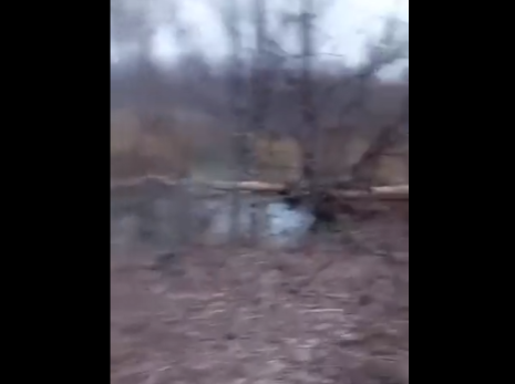 Охотники из Сызрани выложили в сеть интересное видео: экскурсия в столовую бобров