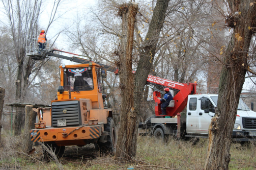 Под конец осени Сызрань избавляют от деревьев: бригада работает по заявкам жителей