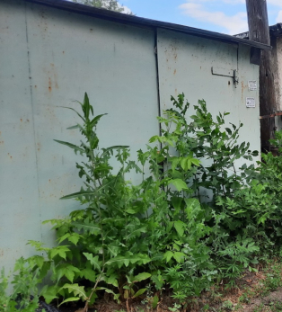 В Сызрани металлические гаражи увозят на специальную площадку