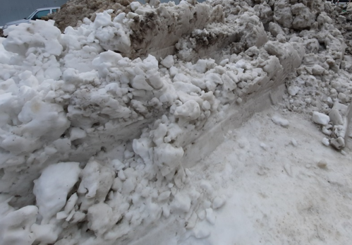 Привычной зимы не будет: Вильфанд назвал причину природной аномалии