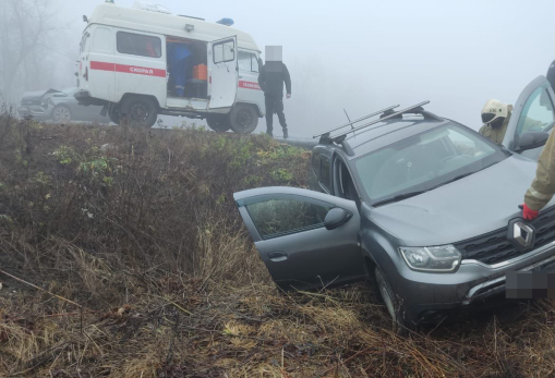 Под Сызранью российский седан выкинул в кювет французский кроссовер