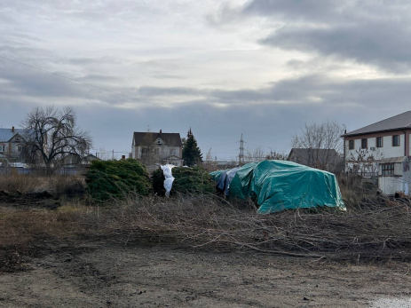 Праздник к нам приходит: в Сызрань прибыла первая крупная партия новогодних елок
