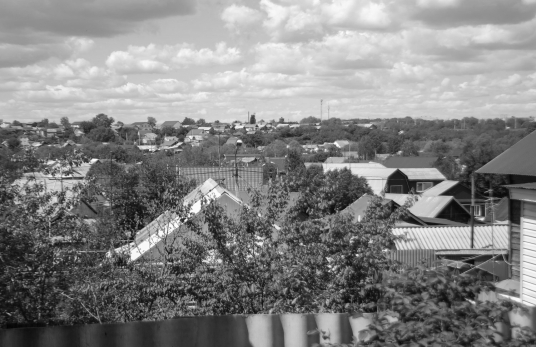 Вокруг Сызрани вспыхнули очаги опасного заболевания - зараженных вырежут