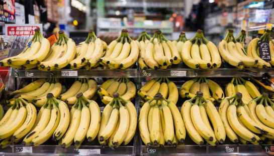 Депутаты взялись за дикпики: мужчинам запретят фотографировать у себя это-самое