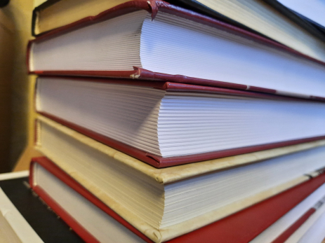 В Сызрани подсчитали посещающих библиотеки горожан