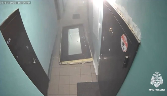 Оставшаяся в одиночестве собака взорвала квартиру - видео