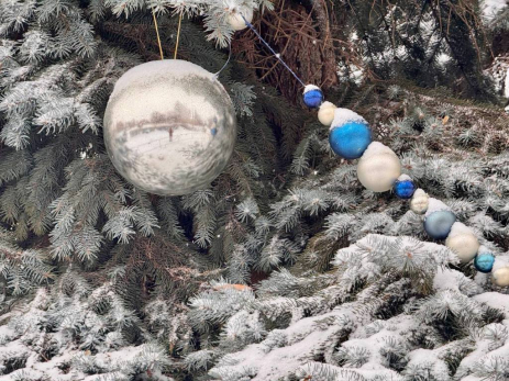 Жителей Сызрани и Самары предупредили о гигантских штрафах за новогодние елки