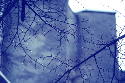 Мощная оттепель отменяет зиму - каким будет декабрь в Сызрани и Самаре