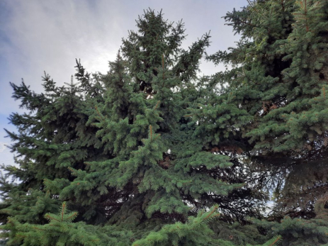 Народные приметы на 2 декабря: что нужно выпить и съесть для избавления от болезней и как не потерять благосостояние и удачу