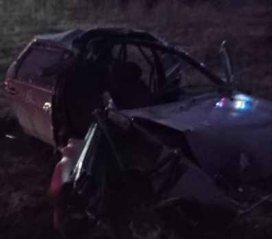 Встреча со зверем чуть не обернулась трагедией: «девятка» развалилась на части