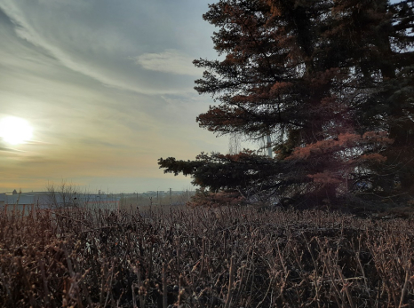4 декабря - Введение во храм Пресвятой Богородицы: в наказание будет нищета, крах в карьере и любви