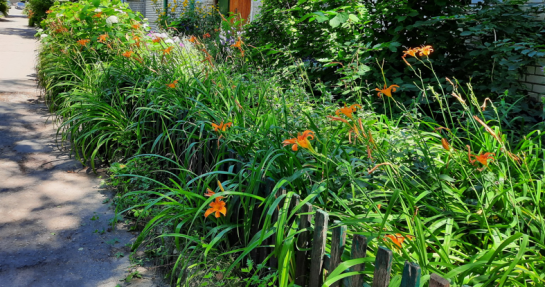 Если хищный червь Обама прорвется в Россию, то мало не покажется