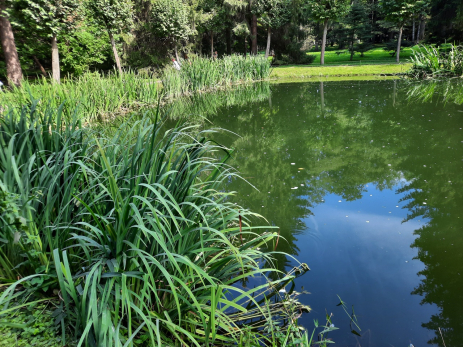 Отдых на озере под Сызранью закончился поножовщиной