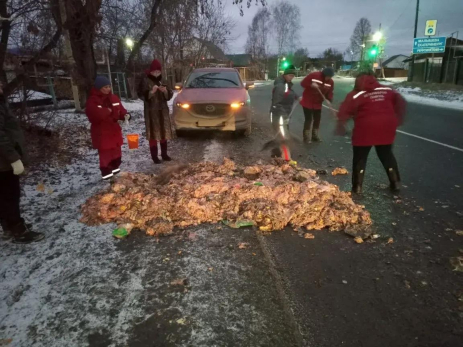 Куча дохлых кур завалила дорогу - видео
