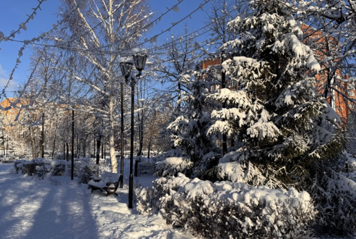 Вильфанд: после понедельника почти вся страна окажется под снегом