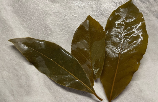 Зачем зимой на батарею надо положить лавровый лист