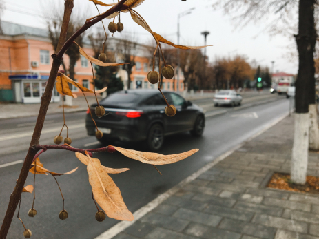 Четыре человека попрощаются с правами и деньгами после проведенного в Сызрани уикенда