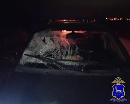 Летевшая по трассе иномарка снесла мужчину