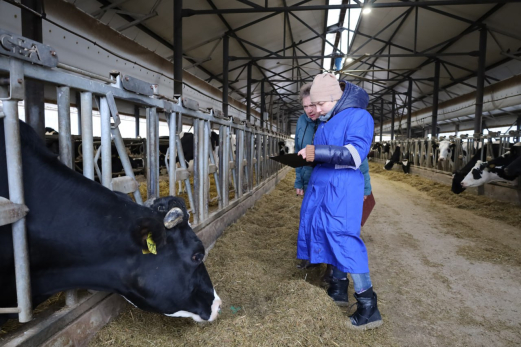 Кадры в АПК: молодые ученые Самарской области внедряют научные инициативы