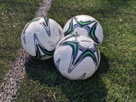 В Сызрани распорядились провести чемпионат России по футболу