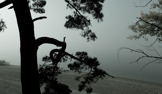 По всей Самарской области объявлено штормовое предупреждение