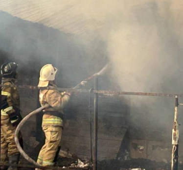 Пожар в частном подворье Сызрани вспыхнул глубокой ночью