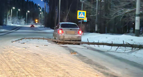 В Сызрани ураганный ветер продолжает валить деревья на машины и дороги