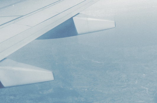 Пассажирский лайнер экстренно сел в Самарской области из-за ЧП на борту