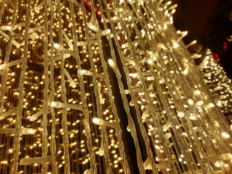 Для жильцов домов намерены ввести мораторий на штрафы за елки и гирлянды: что ответит Александр Куренков