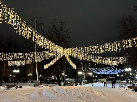 Онищенко сообщил, почему россиянам надо выйти на работу уже 2 января