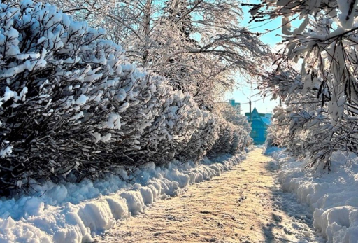 Народные приметы на 6 января: кого ждет счастливый брак, как привлечь деньги и что опасно делать в Рождественский Сочельник под страхом смерти