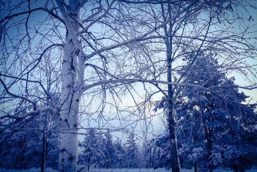 Народные приметы на 12 января - запрет на соль, чужие беды и нитка против черной полосы