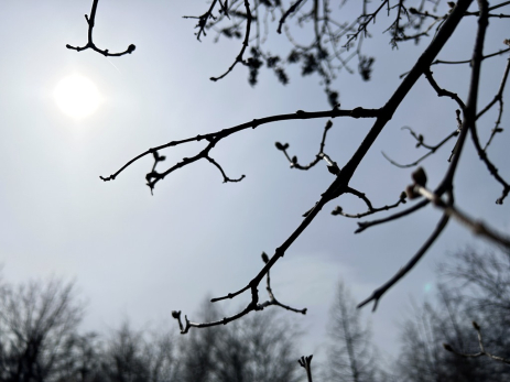 Народные приметы на 24 января: что съесть для силы и здоровья и почему строго запрещено впускать в дом чужую кошку