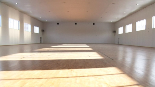 Здание готово, когда ждать открытия: депутаты оценили новый ФОК в Сызрани