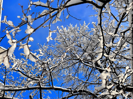 Названы погодные условия, при которых на работе не поставят прогул