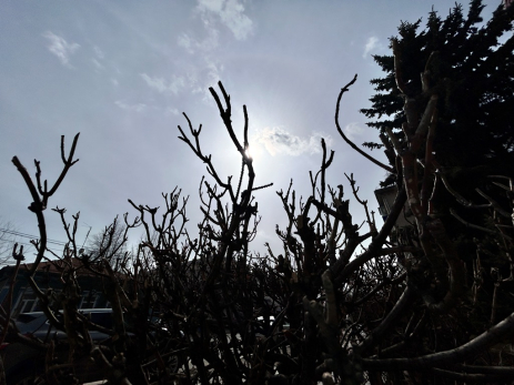 Народные приметы на 29 января: что съесть, чтобы год был богатым и как не потерять слух